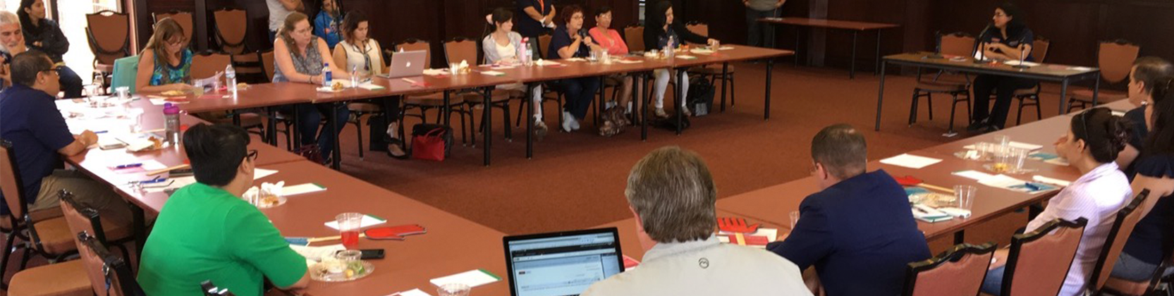 Participants attending the 2017 Online Learning Faculty Round Table